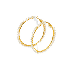 Elegant Earrings Set