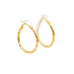 Elegant Twisted Wire Earring Set